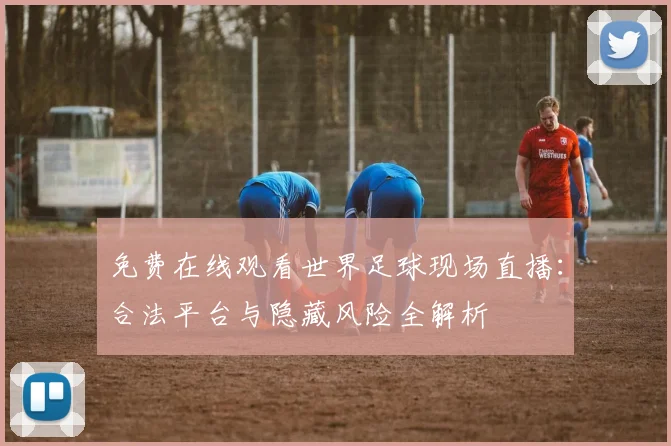 免费在线观看世界足球现场直播:合法平台与隐藏风险全解析